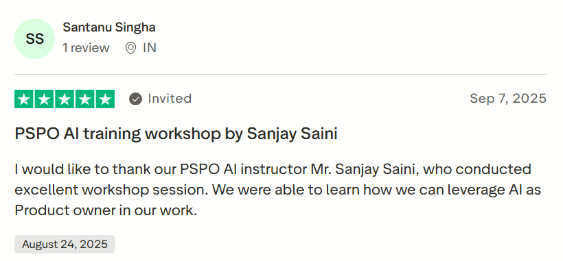 AI Product Owner Participant Review